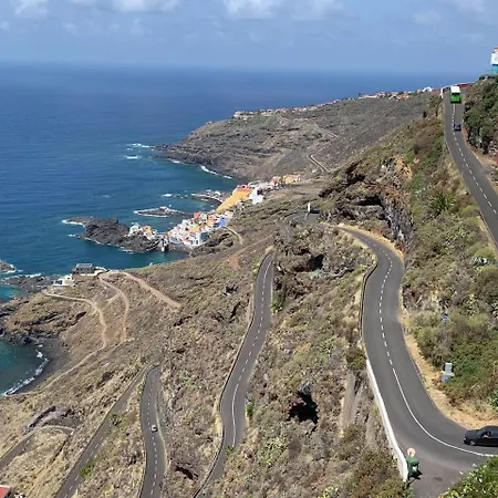 Jacaranda Daire Tacoronte