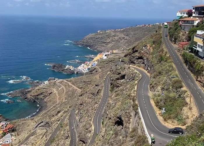 Jacaranda Daire Tacoronte