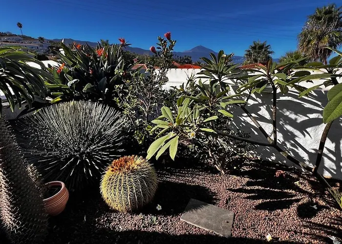 Daire Jacaranda Tacoronte