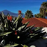 Jacaranda Stylish Ambiance With Volcano And Ocean Views * Tacoronte