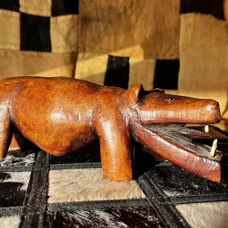 Jacaranda * Tacoronte