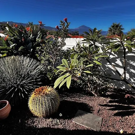 Appartamento Jacaranda Stylish Ambiance With Volcano And Ocean Views Tacoronte