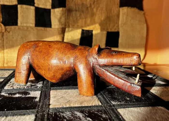 Jacaranda * 타코론테